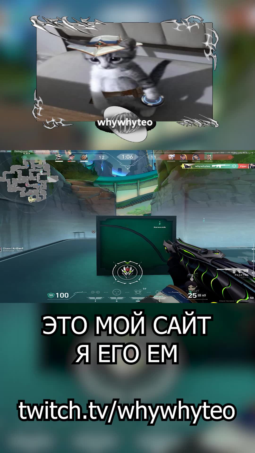это мой гриб
я его ем