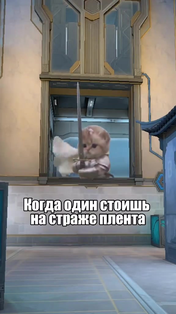 Нападайте 🗡️