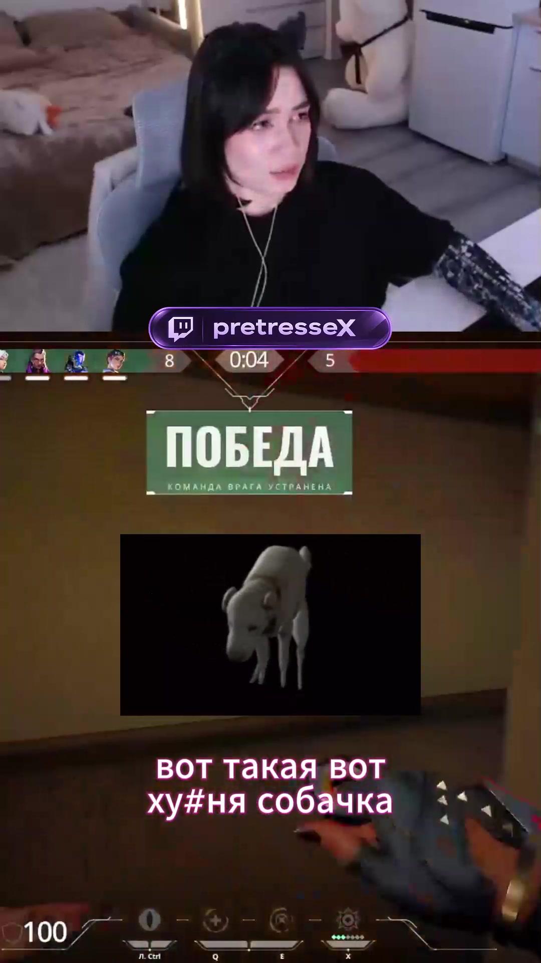 твич pretresseX // тгк pretresse_x