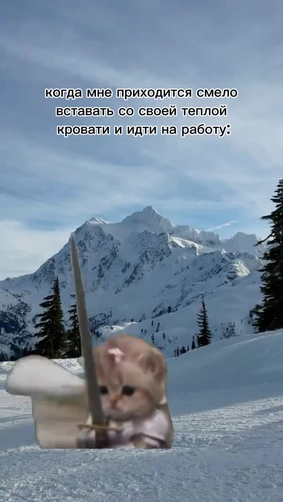 Real Life