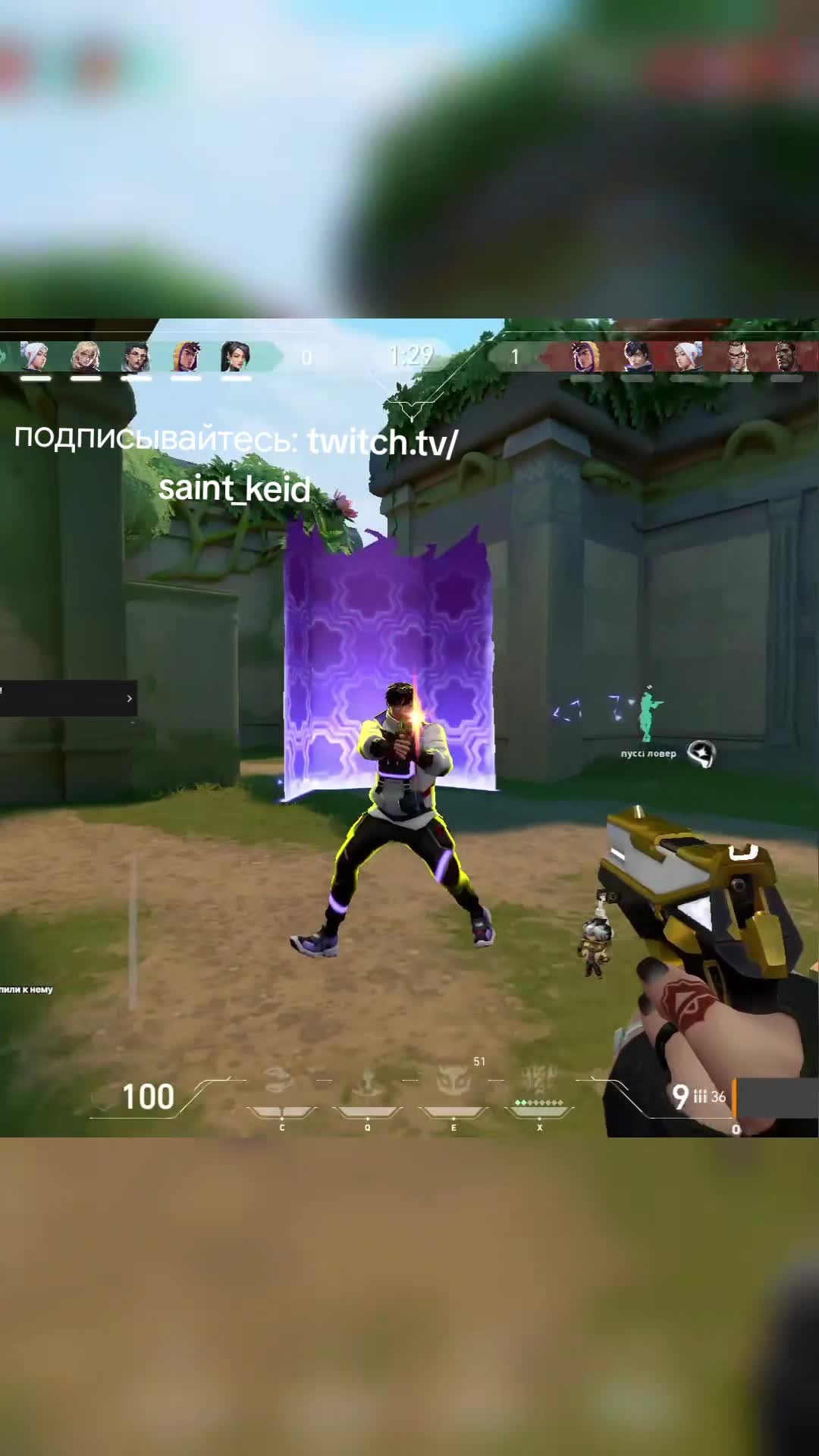 pepeaim