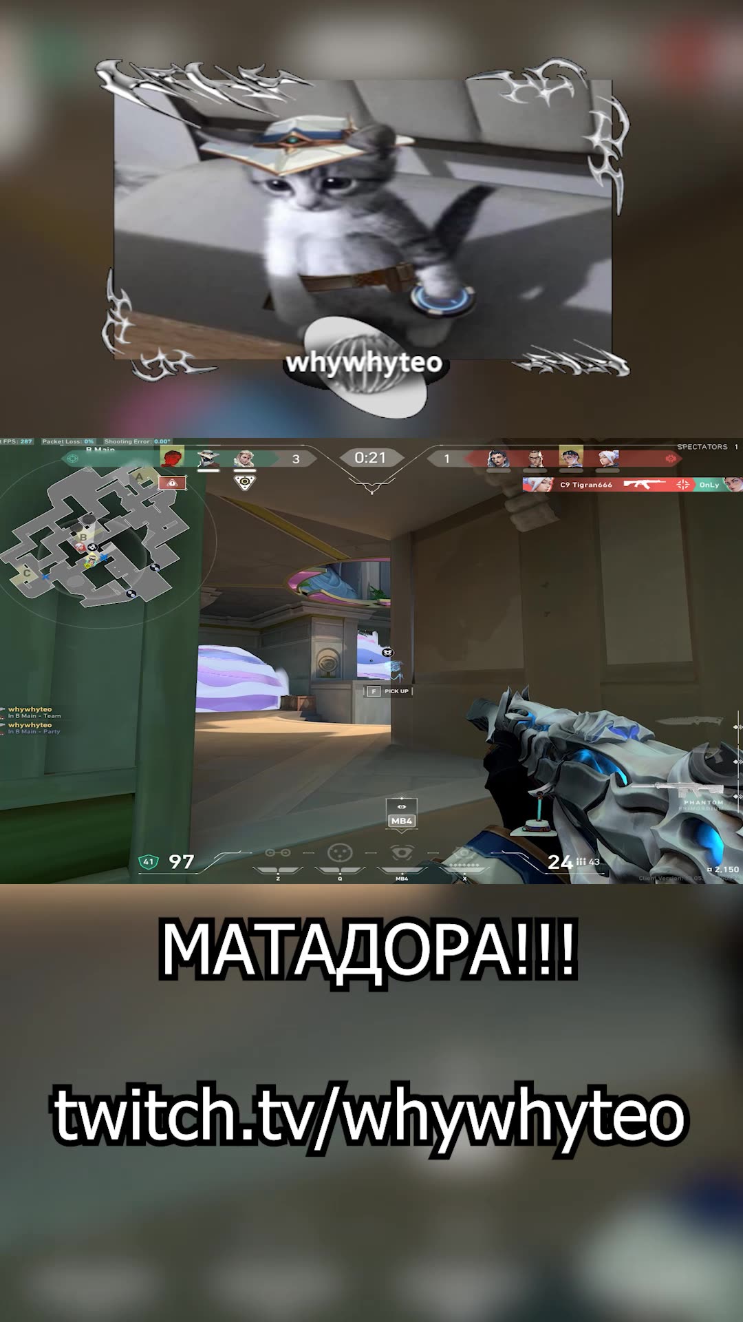 матадора))