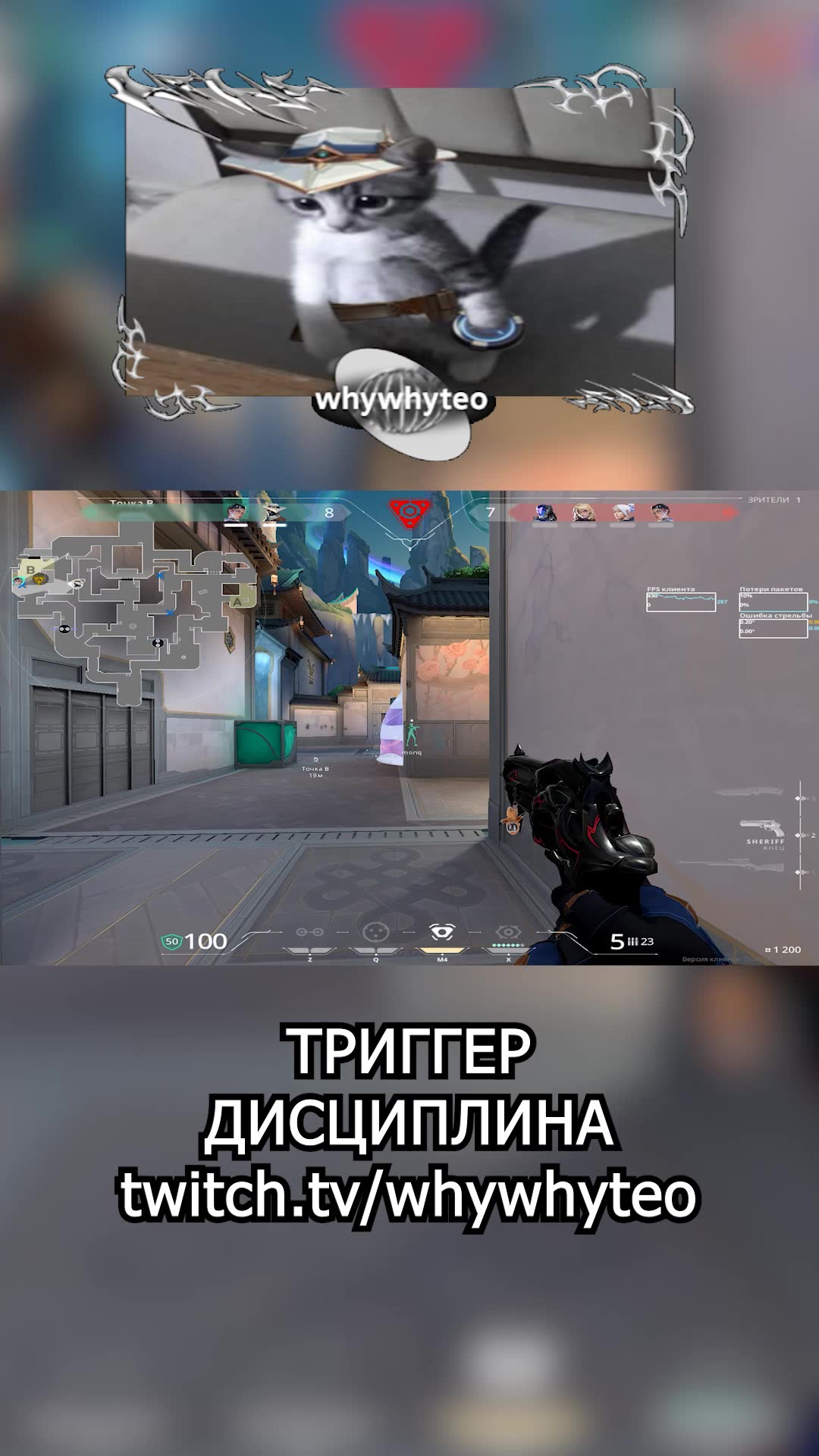 ТРИГГЕР ДИСЦИПЛИНА ака душный сайфер убил в спину
twitch.tv/whywhyteo
