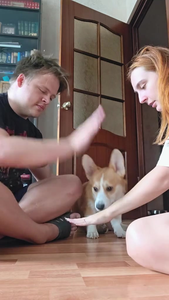 рыжий схитрил